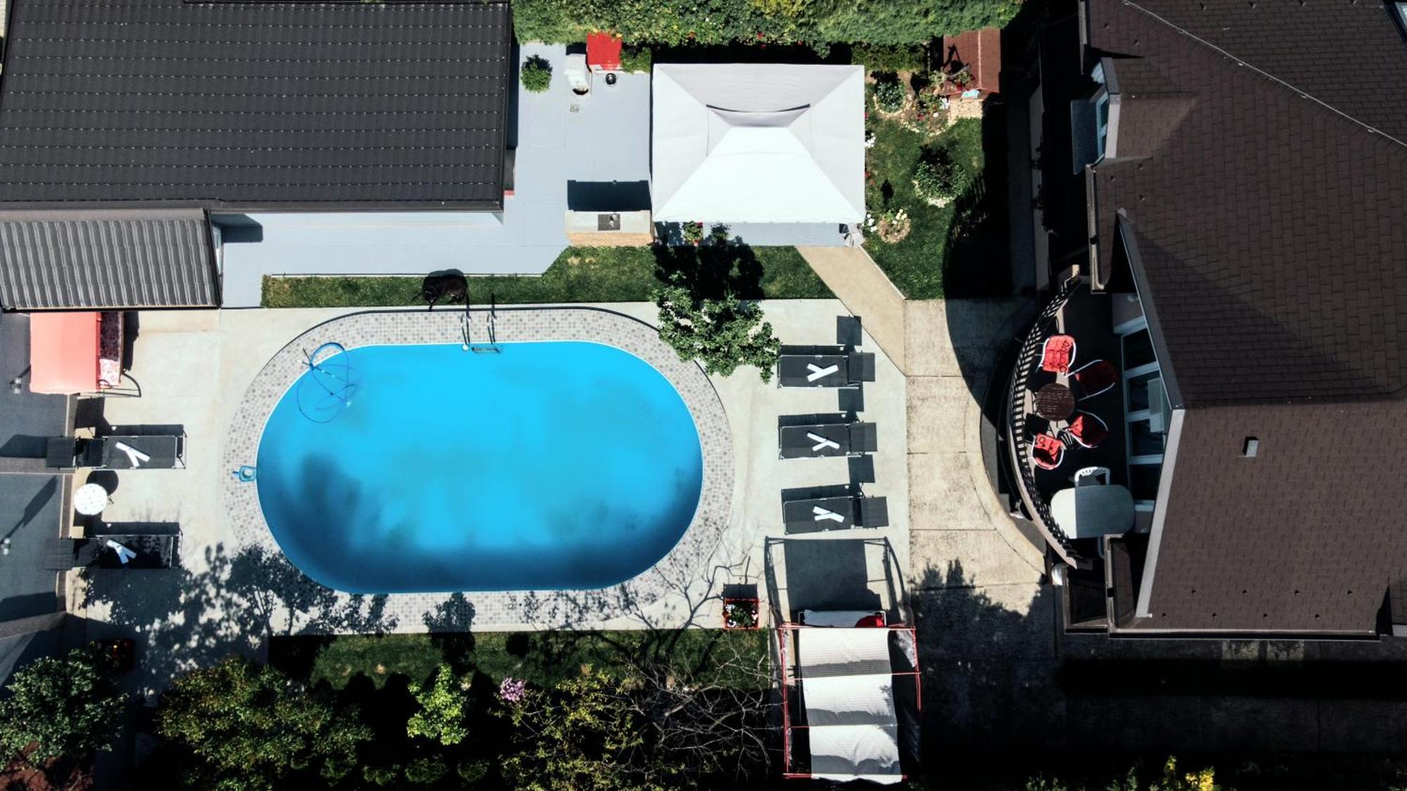 Lux Apartments With Pool Dex Zemun Polje Extérieur photo