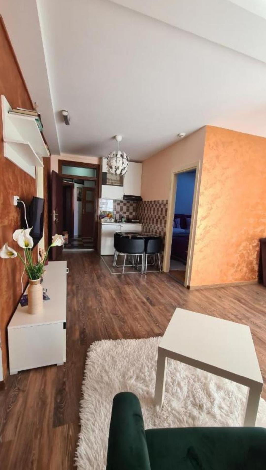 Lux Apartments With Pool Dex Zemun Polje Extérieur photo
